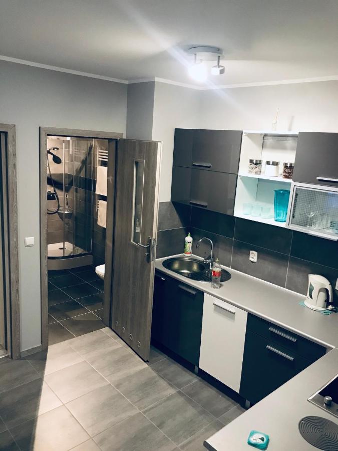 Apartament C18 Jelenia Góra Esterno foto